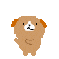 image4204.gif