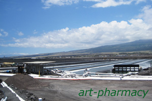 ハワイアンスピルリナのリナマックス１