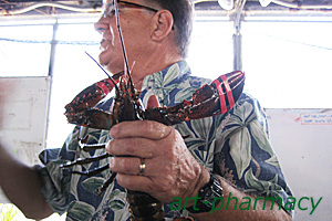 ハワイアンスピルリナのリナマックス6