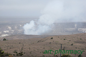 ハワイアンスピルリナのリナマックス9