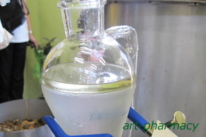 抽出されたクロモジのオイルアロマ