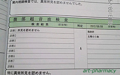 脂肪肝の検査結果