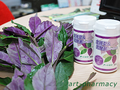 金時草＆乳酸菌（乳酸菌パウダーサプリメント）