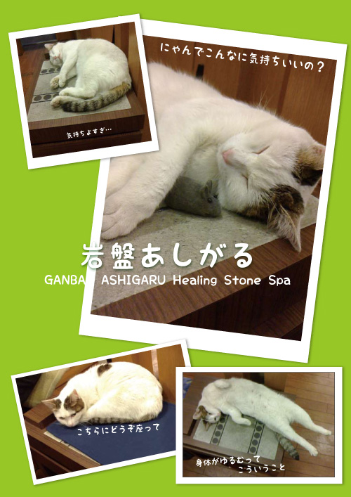 猫ちゃん岩盤してます2.jpg