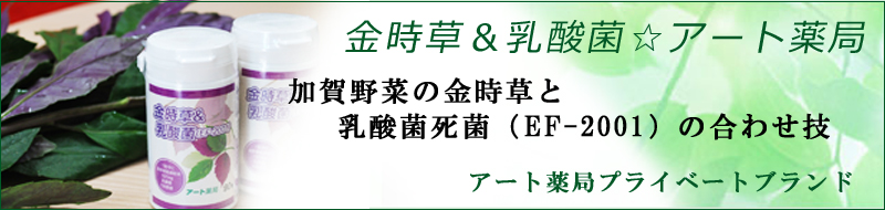 ≪金時草＆乳酸菌☆アート薬局PB≫